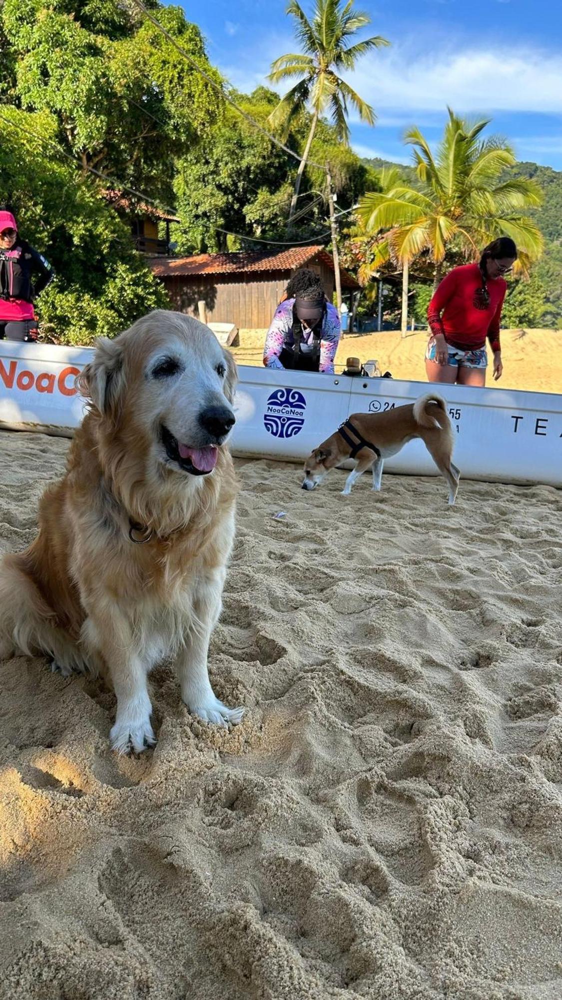 Pousada Canto Do Mar Ilha Grande Praia de Araçatiba Eksteriør billede